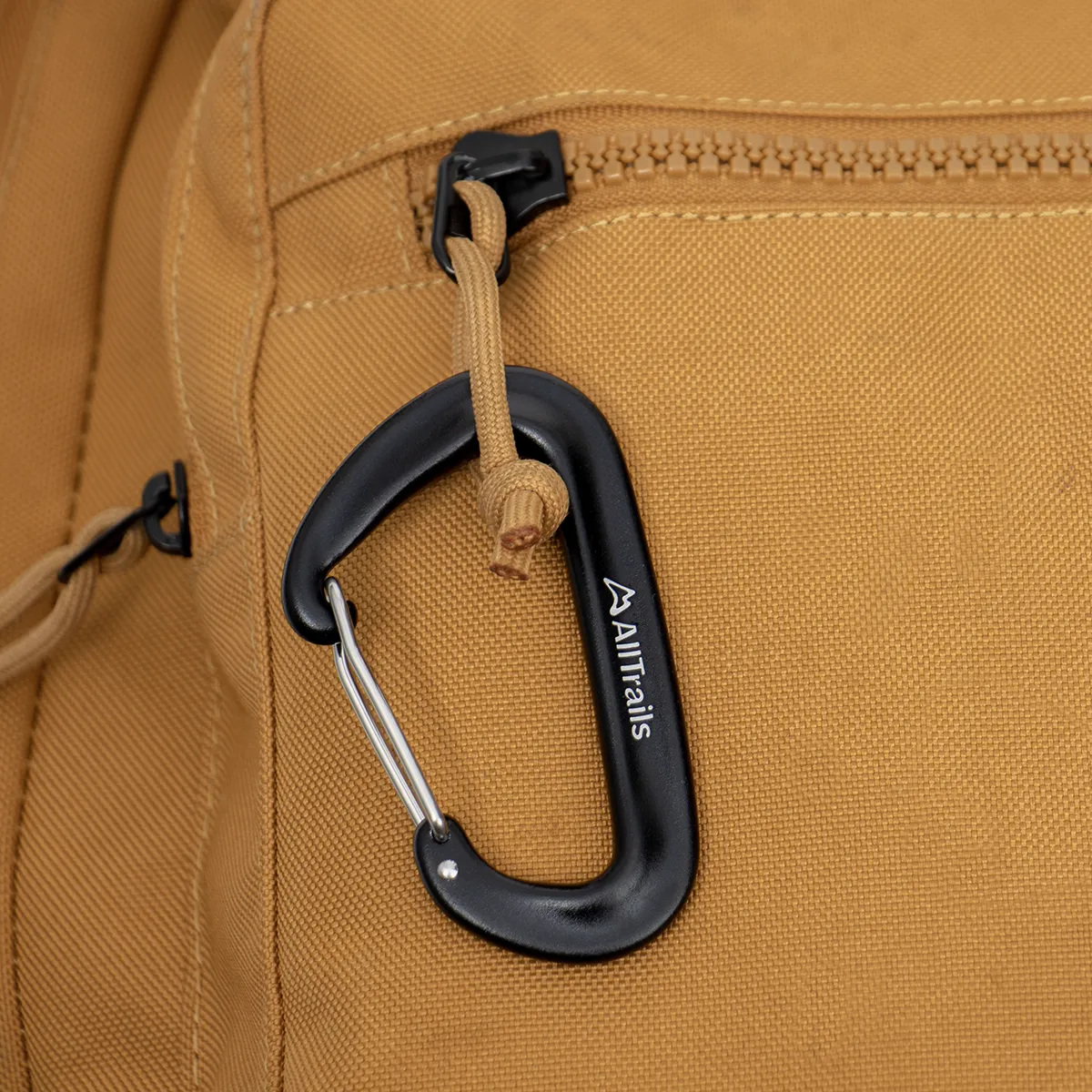 Everyday Explorer Carabiner