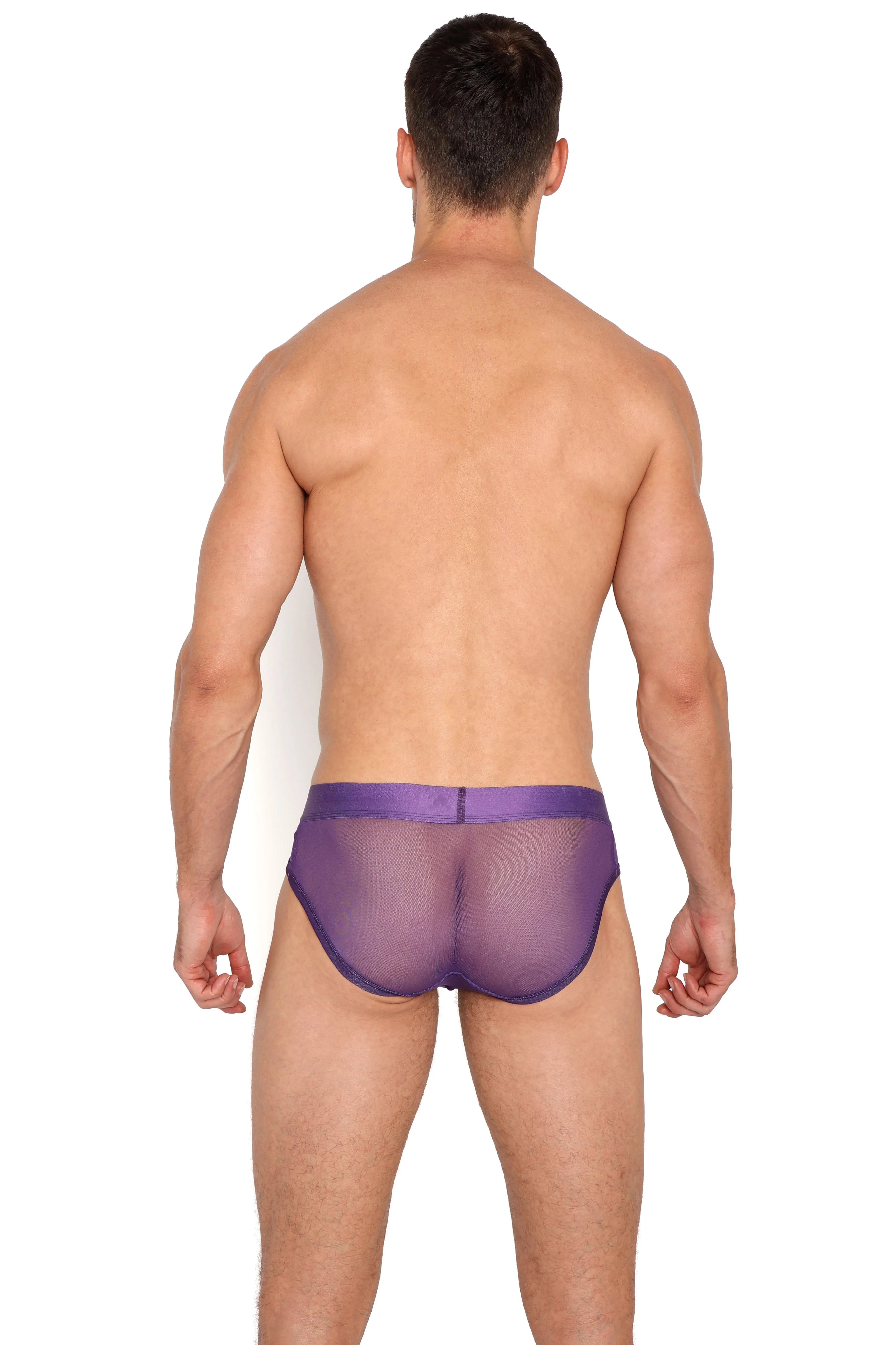 Just The Bones Sheer Brief Purple