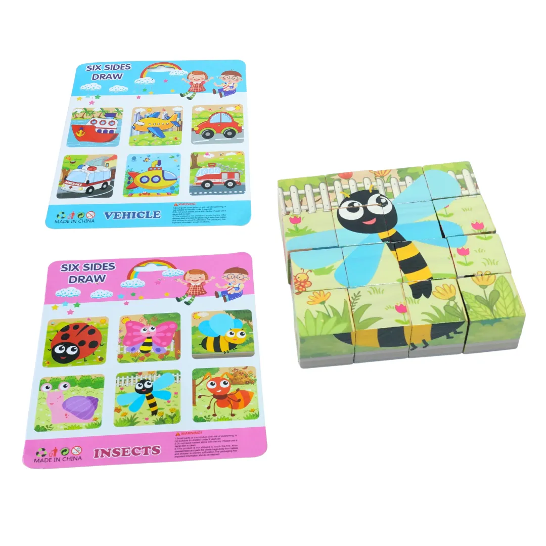 Six Sides Draw, 3D Wooden Puzzle for Kids-1 (Random design will be send)