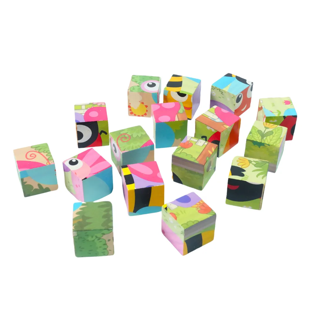 Six Sides Draw, 3D Wooden Puzzle for Kids-1 (Random design will be send)