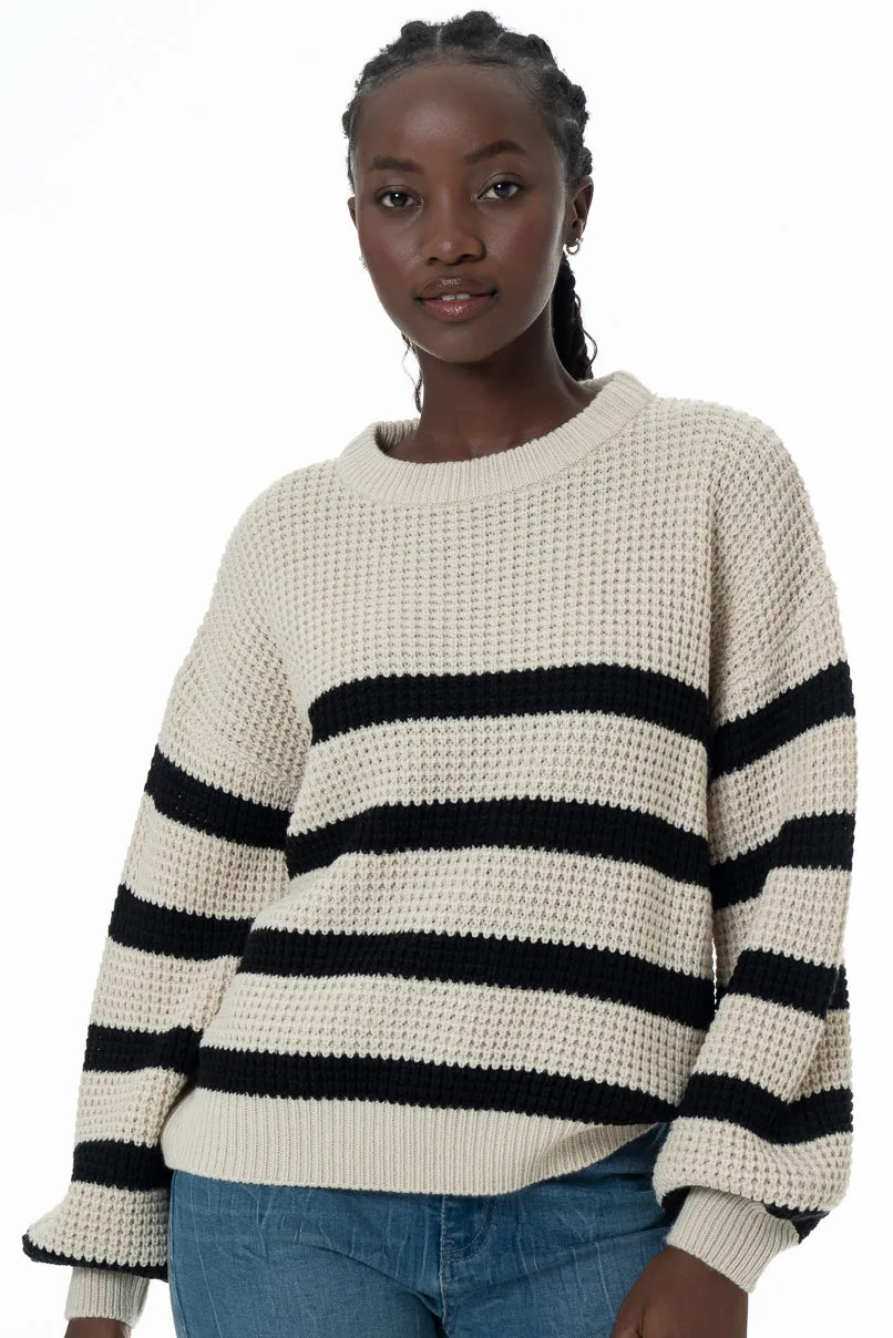 Striped Jersey _ 145664 _ Multi Stripe