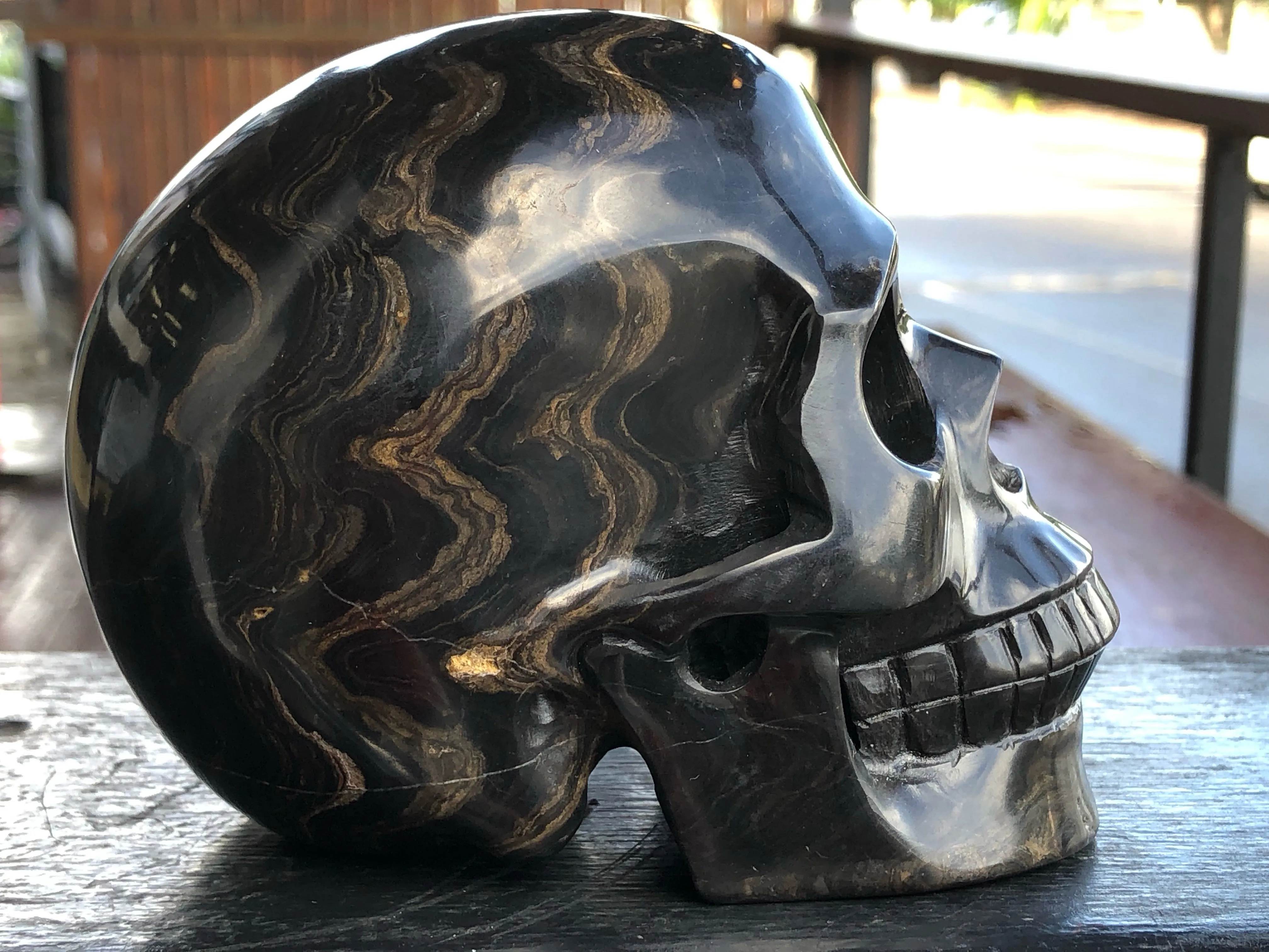 Stromatolite Fossil Skull [1k1147]